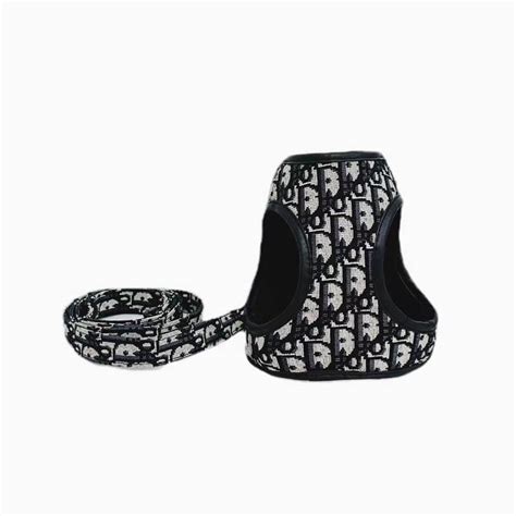 dior dog leash|dior dog carrier.